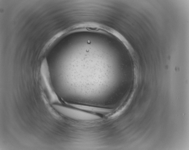 X0000083050857200702231953