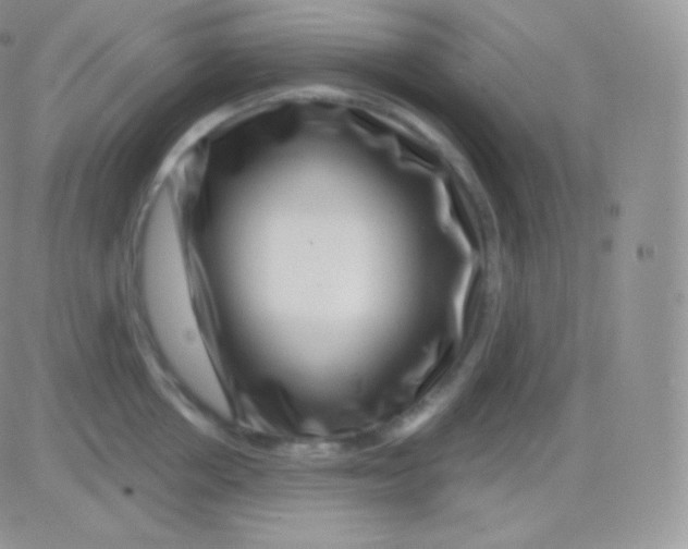 X0000083050858200702231953