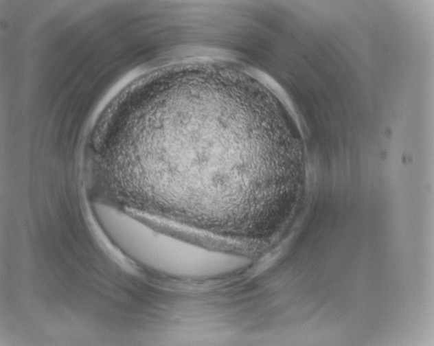 X0000083050859200702231953