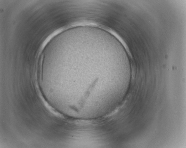 X0000083050861200702231953