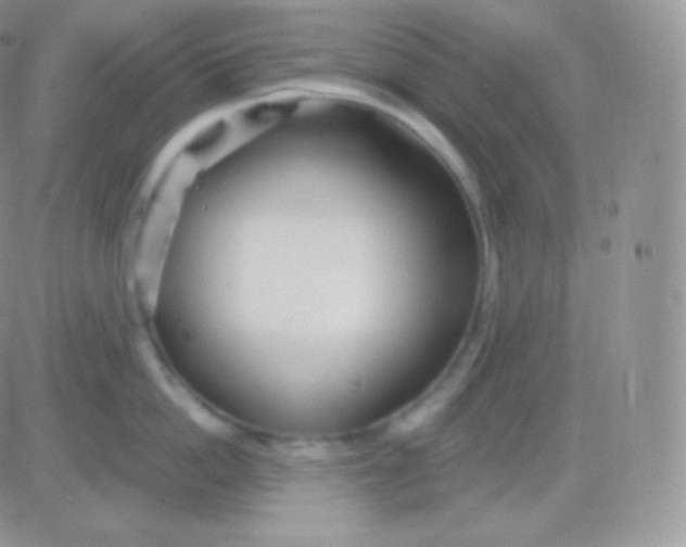 X0000083050862200702231953