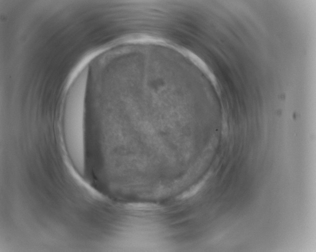 X0000083050863200702231953