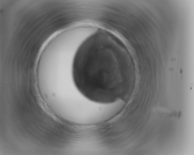 X0000083050864200702231953