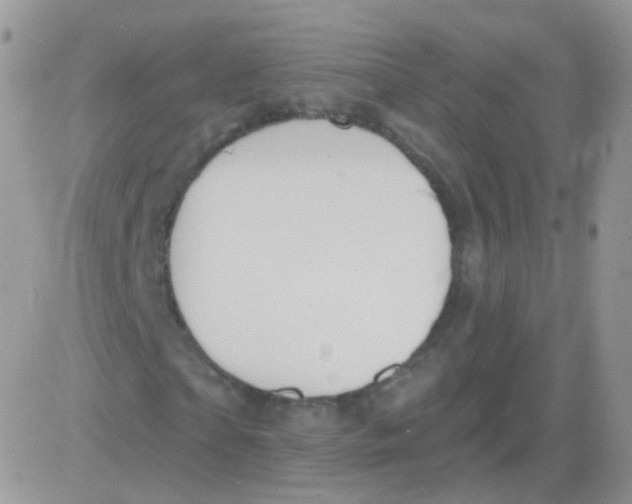 X0000083050865200702231953