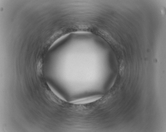 X0000083050866200702231953