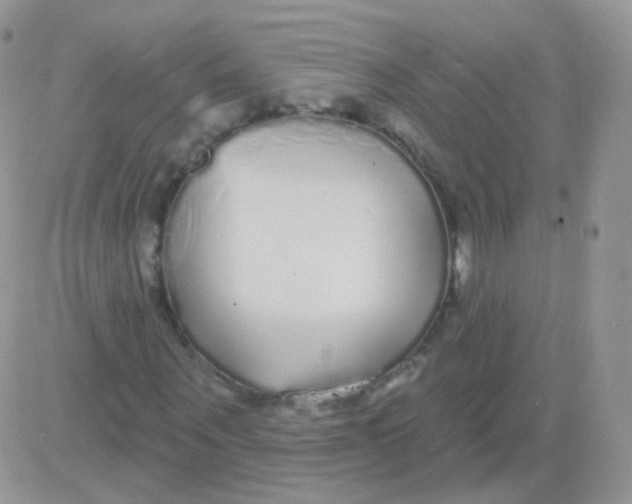 X0000083050867200702231953