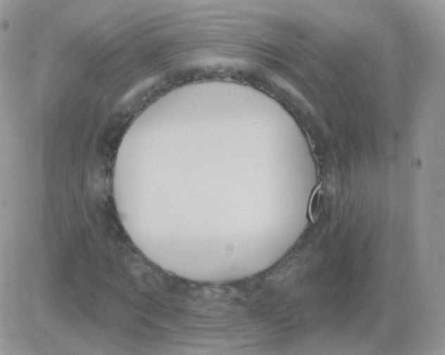 X0000083050869200702231953