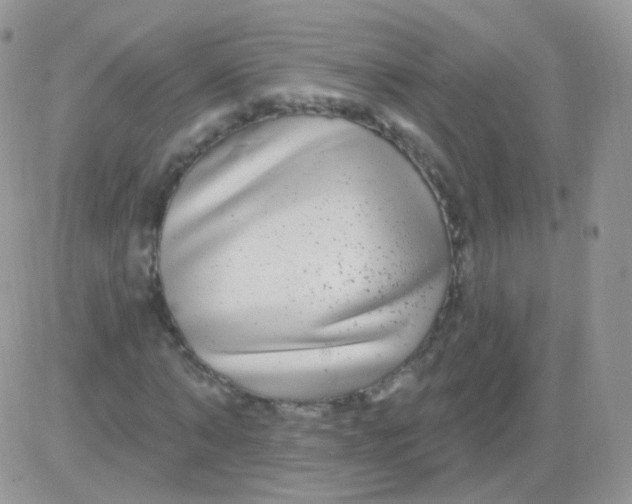 X0000083050870200702231953