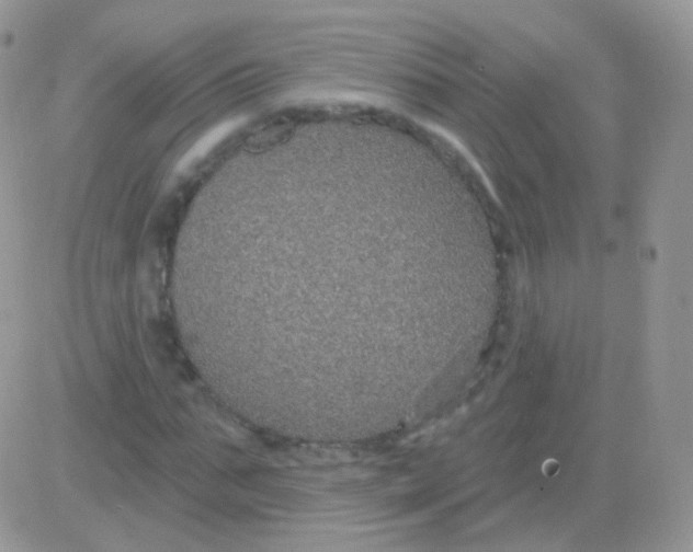 X0000083050871200702231953