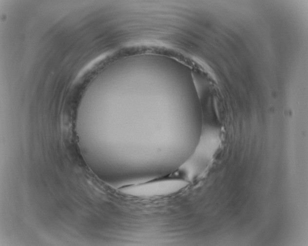 X0000083050872200702231952