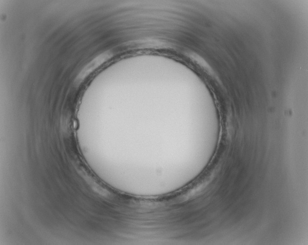 X0000083050873200702231952