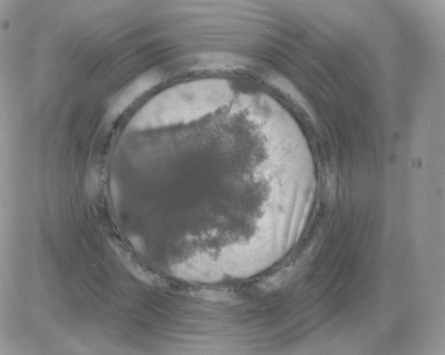 X0000083050874200702231952