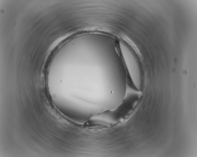 X0000083050876200702231952