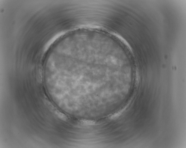 X0000083050878200702231952