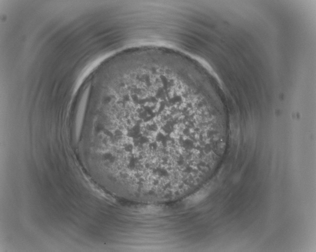 X0000083050879200702231952