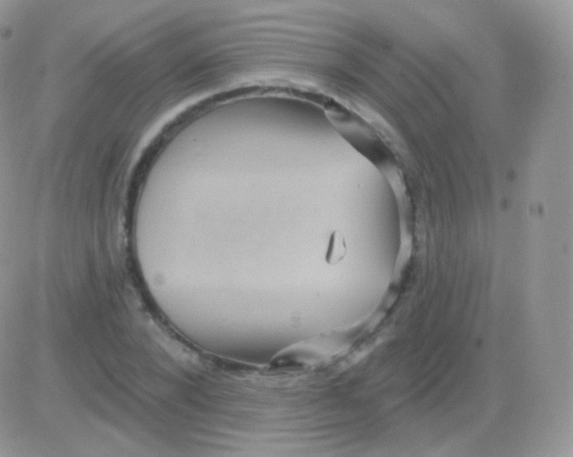 X0000083050880200702231952