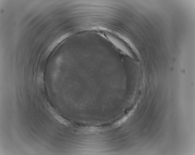 X0000083050881200702231952