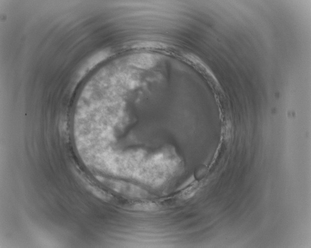 X0000083050882200702231952