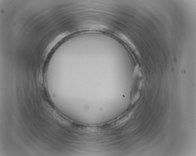 X0000083050883200702231952