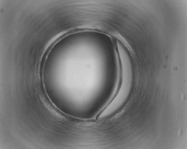 X0000083050884200702231952