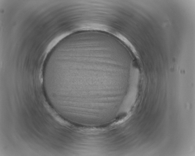 X0000083050885200702231952