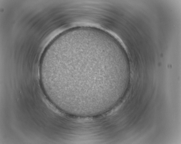 X0000083050887200702231952