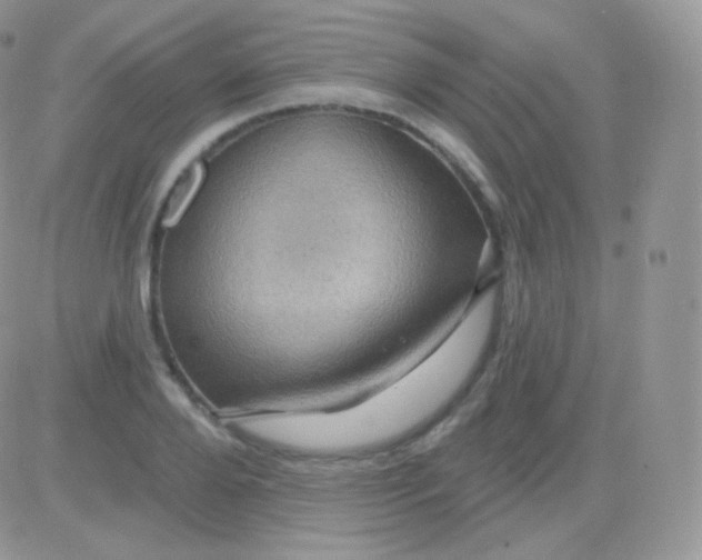 X0000083050888200702231952