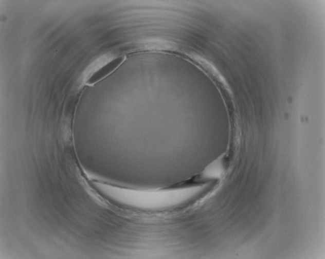 X0000083050889200702231952