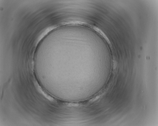 X0000083050890200702231952