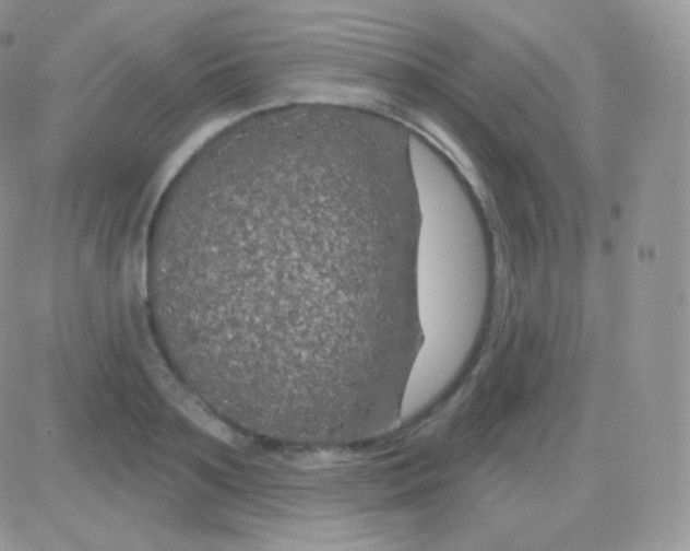 X0000083050891200702231952