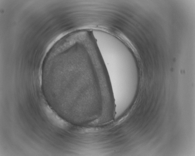 X0000083050892200702231952