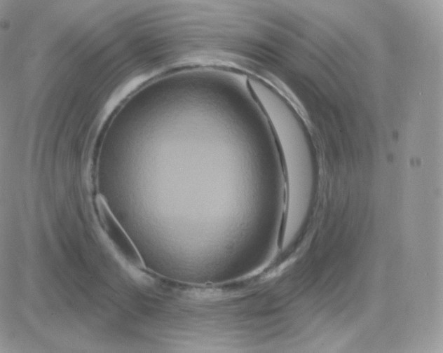 X0000083050893200702231952