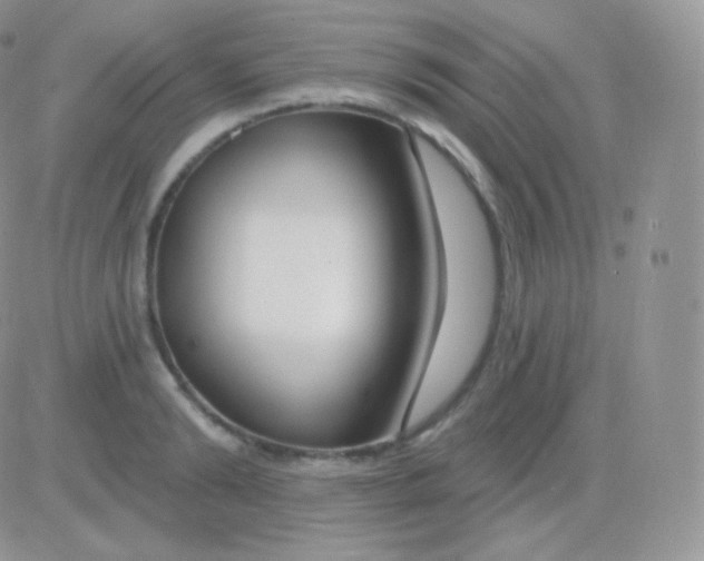 X0000083050894200702231952