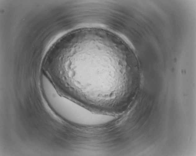 X0000083050895200702231952