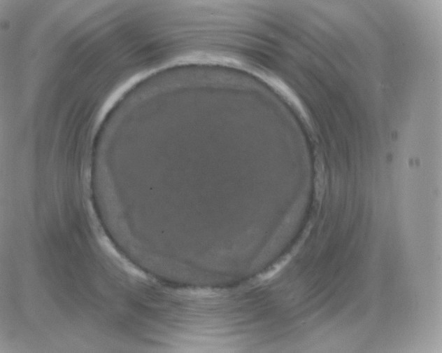 X0000083050896200702231952