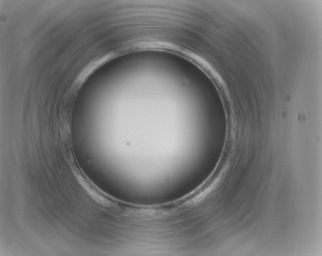 X0000083050897200702231952