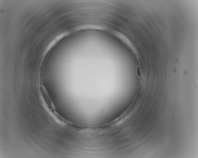 X0000083050898200702231952