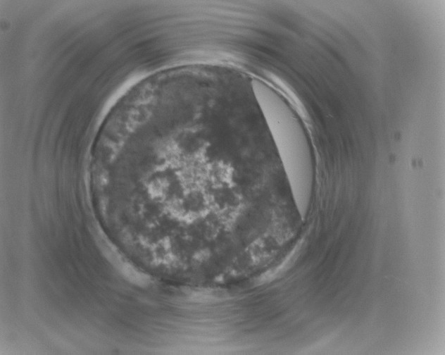 X0000083050899200702231952