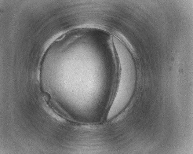 X0000083050900200702231952