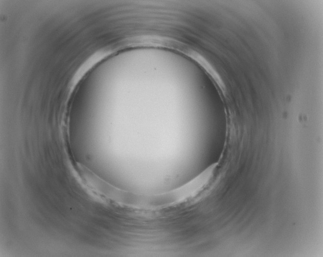 X0000083050901200702231952