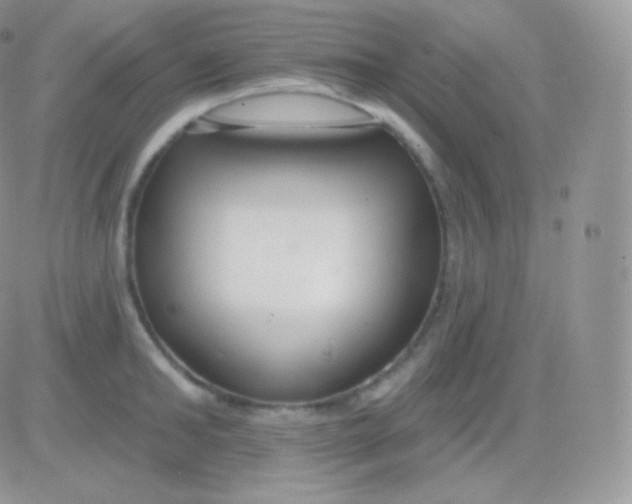 X0000083050902200702231952