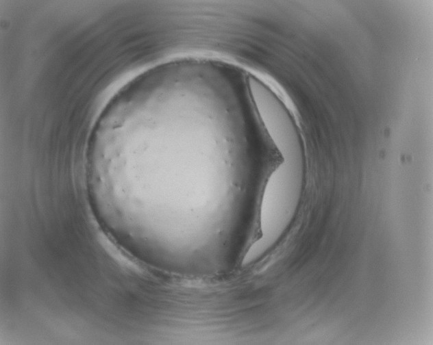 X0000083050903200702231952