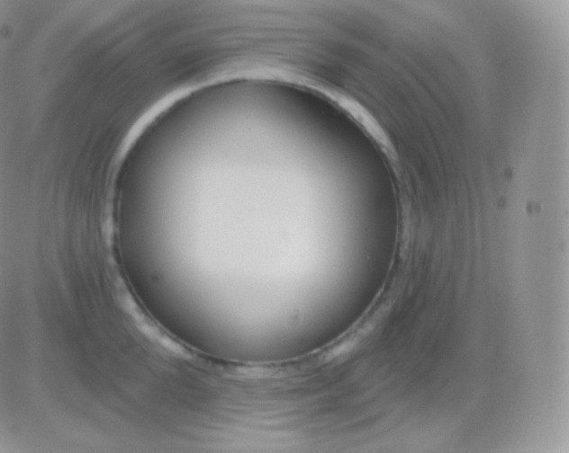 X0000083050904200702231952