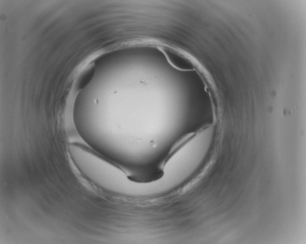 X0000083050905200702231952