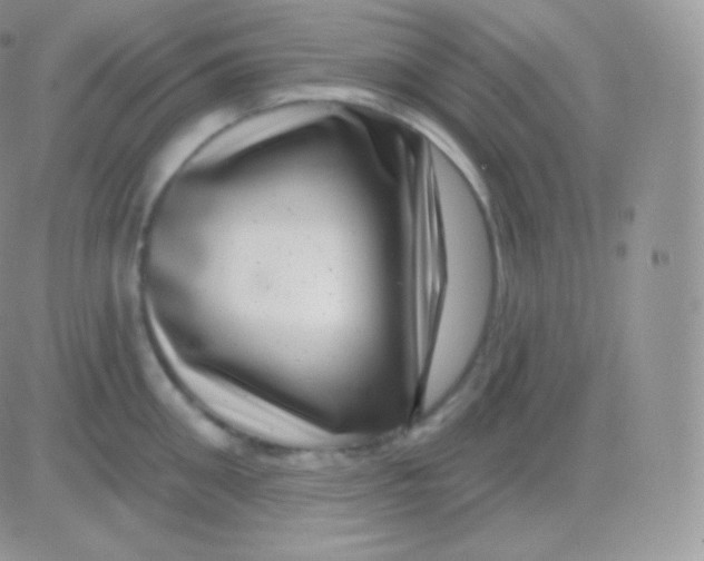 X0000083050906200702231952