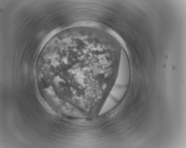 X0000083050907200702231952