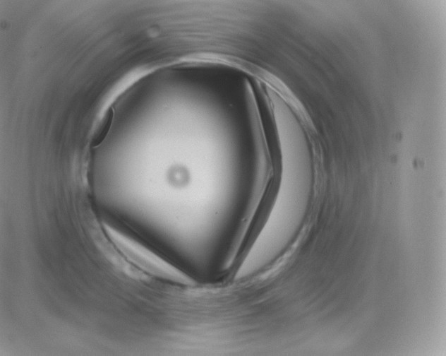 X0000083050908200702231952