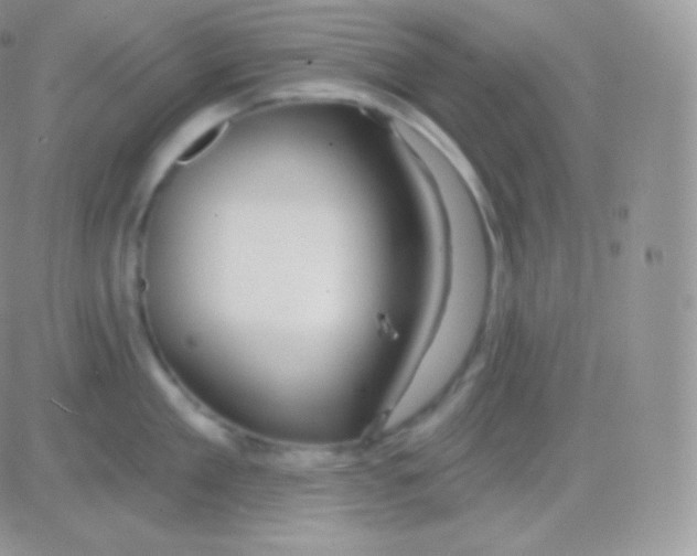 X0000083050909200702231952