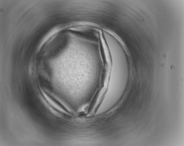 X0000083050910200702231952