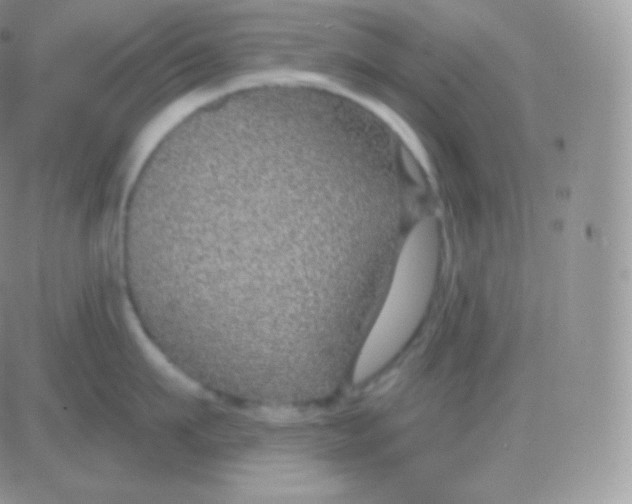 X0000083050911200702231952